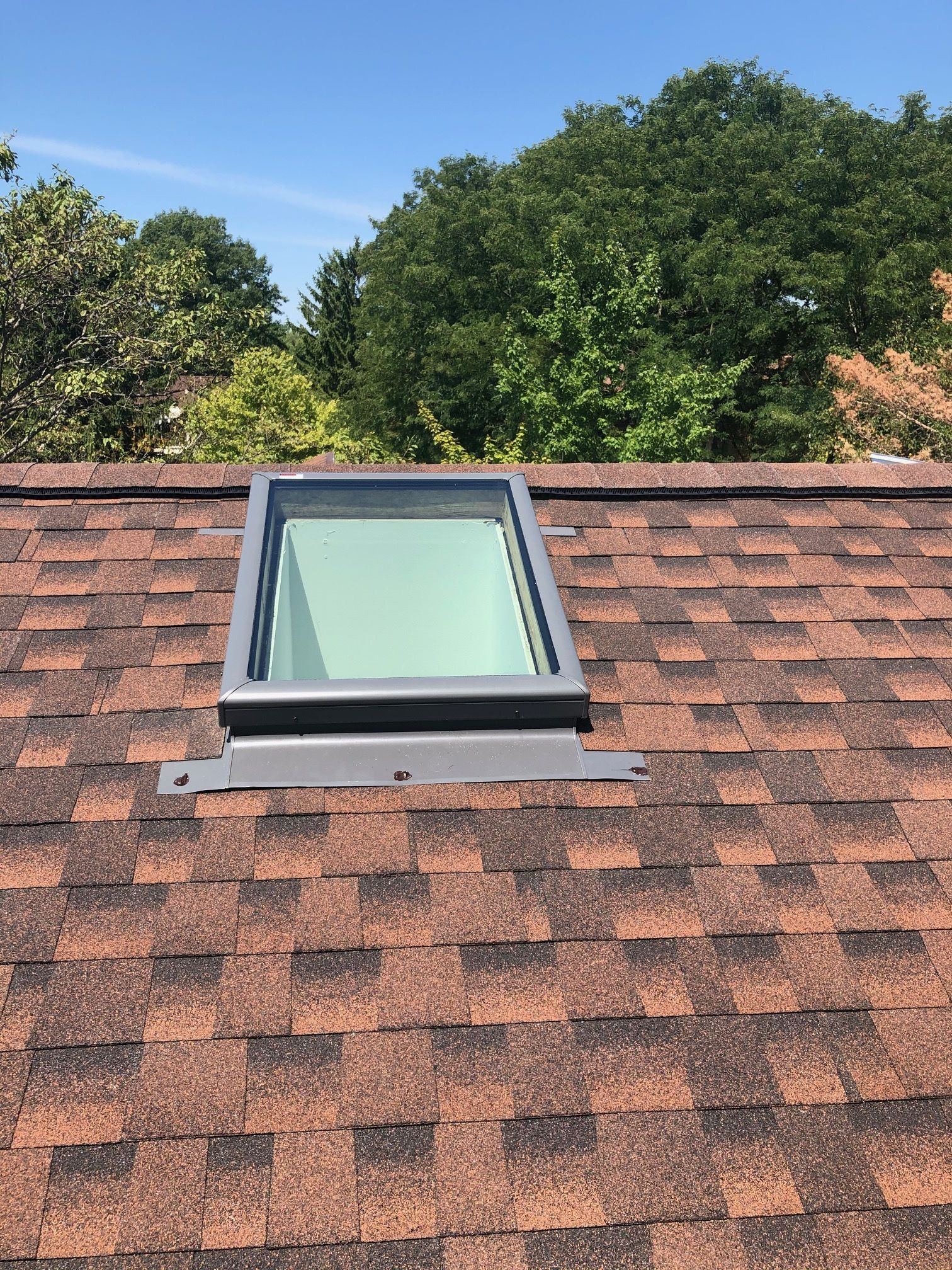 Single VELUX skylight on a reddish shingle roof with trees and sky