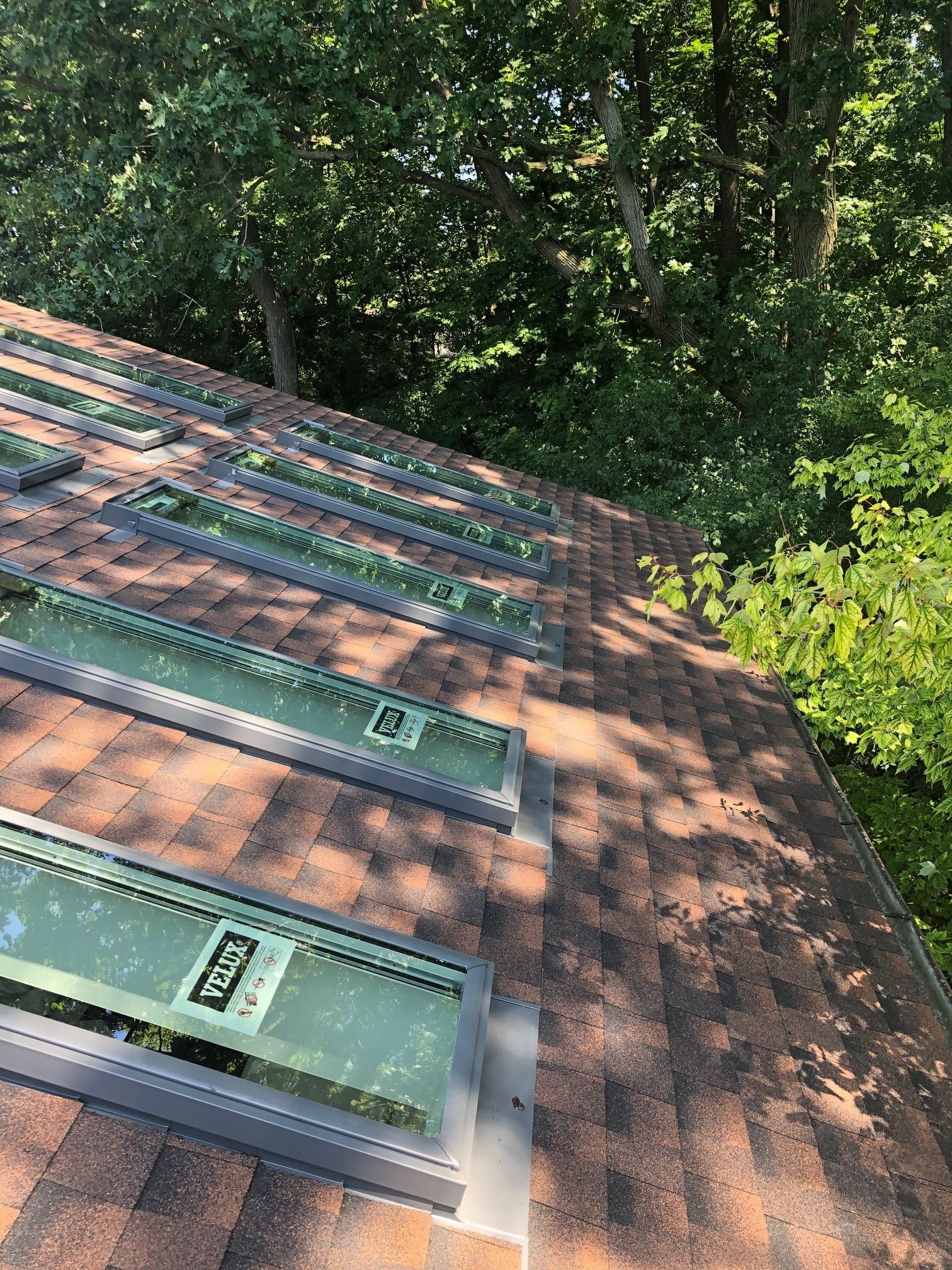 Several VELUX skylights down a sloped shingle roof