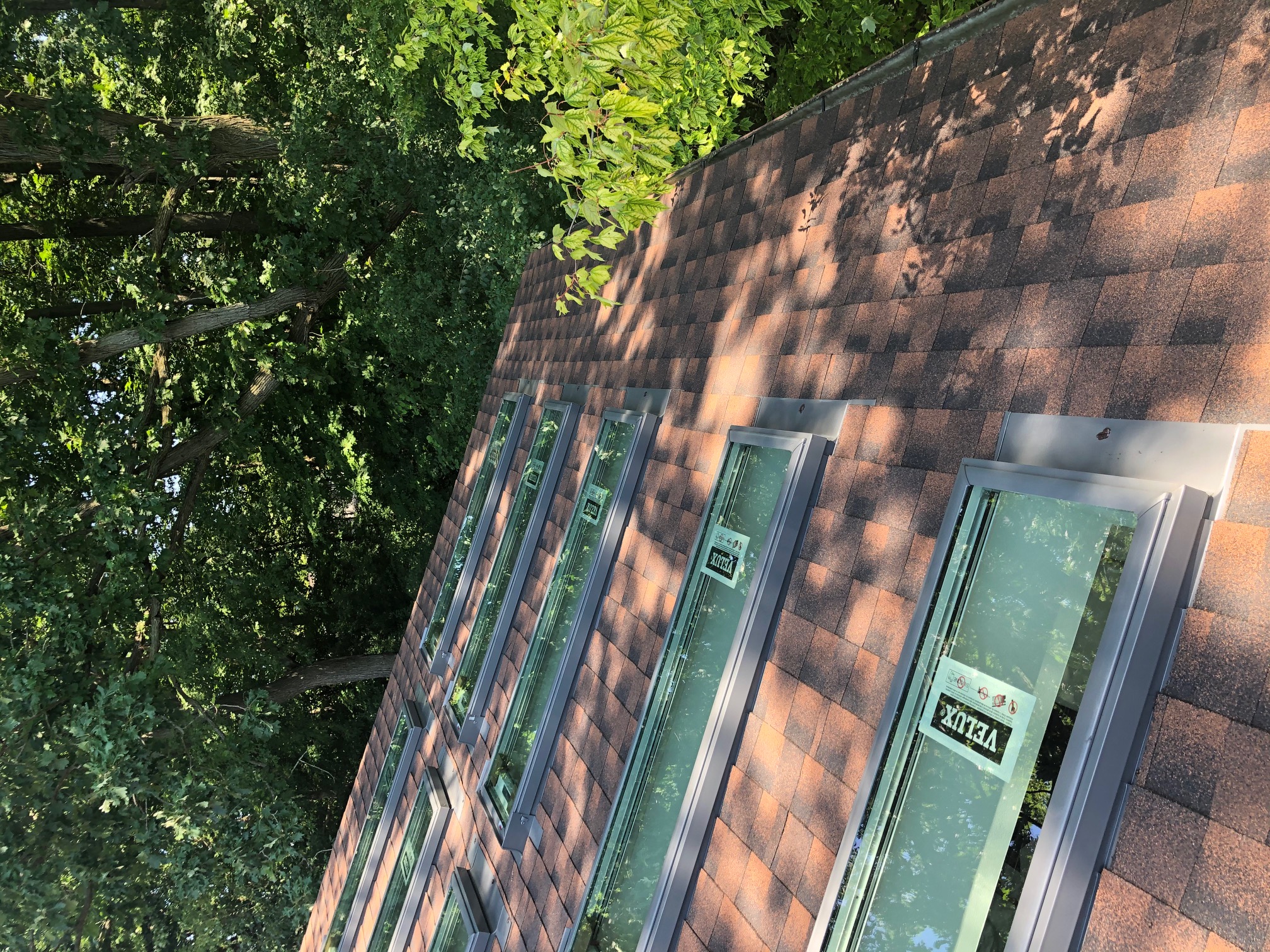 Exterior view of newly installed Velux skylights on a roof